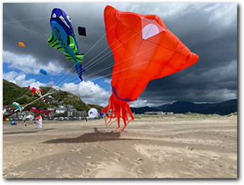 Barmouth Kite Festival,  Barmouth -   6th & 7th July 2024