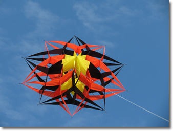 Have a look at some of our kites