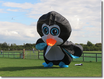 Stonham Barns Family Kite Day