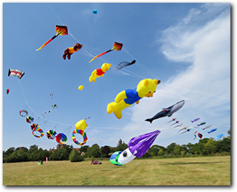 Layer Marney Tower Kite Day - 1st September 2024