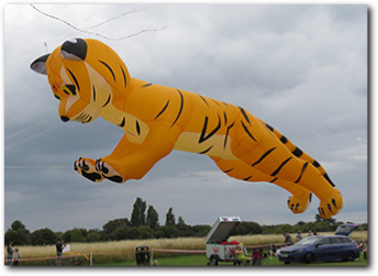 The Naze Kite Festival - 26th & 27th July 2025