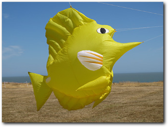The Naze Kite Festival - 25th & 26th July 2026