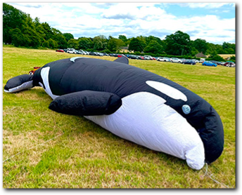 Rendham Village Fete, 5th July 2026